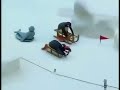 Pingu The Movie 1996 Pingu S Nightmare
