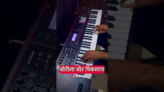Download lagu Borila Bor Piklay | DJ Pamya #varudhpatil mp3 Download lagu Borila Bor Piklay | DJ Pamya #varudhpatil mp3