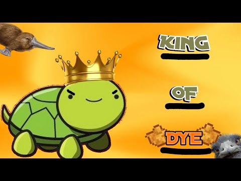 How I reclaimed My World record