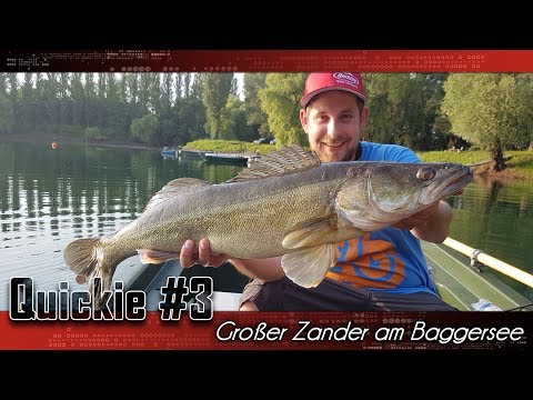 Quickie #3 | Großer Zander am Baggersee