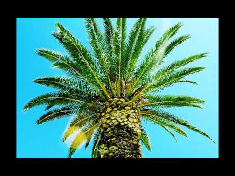 Lexie Lee – Pull It Up