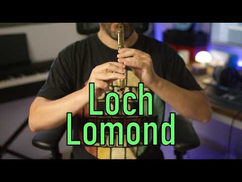 Loch Lomond - Tin Whistle Cover | #irish #tinwhistle #traditional #emotional #celtic #scotland