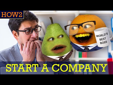 HOW2: How to Start a Company