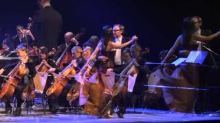 Libiamo ne' lieti calici - La Traviata - Verdi