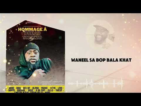 R.I.P SKEEZO ( hommage à DREAD SKEEZO - Audio officiel