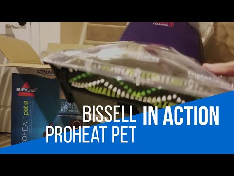 Bissell Proheat Pet Steam Cleaner - In action