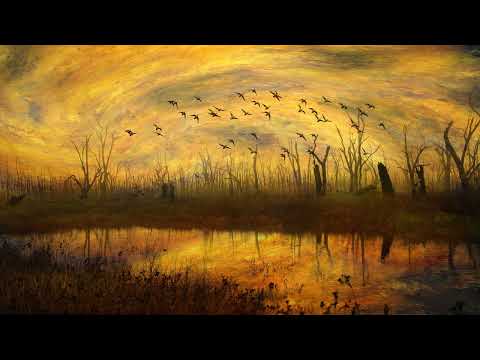 Bhor Bhaye Panchhi Dhun Yeh Sunayen