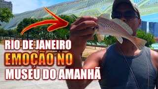 VIDEO DE PESCARIA 2021 MUSEU DO AMANHA RIO DE JANEIRO MAS UMA PESCA MARAVILHOSA !!