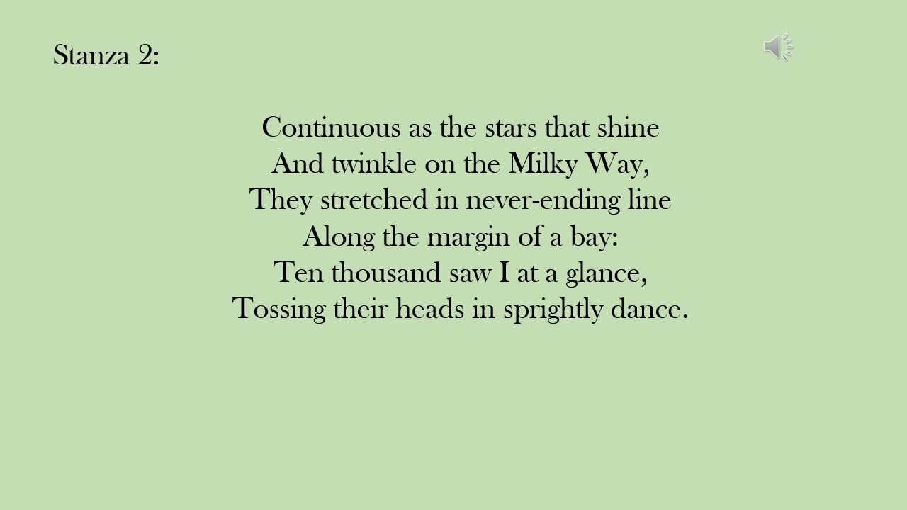 Why are daffodils compared to the Milky Way? More REF