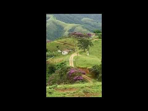 Programa: Caminho da Roça - 27/02/26 - Parte 1 - Apresentação: Paulinho