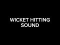 3 TYPES OF BAT HITTING SOUND AND WICKET BOLD SOUND | All Link in Description