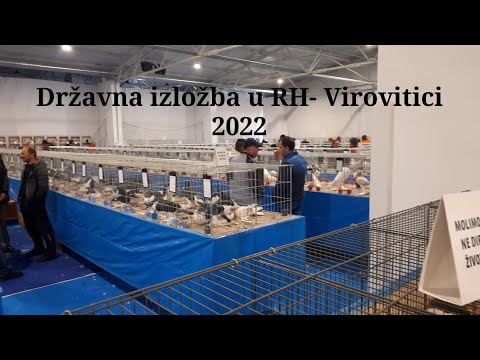 Državna izložba sitnih životinja u RH- Virovitici 13/11/2022