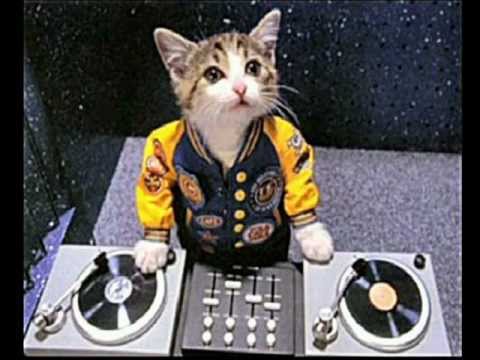 Dj Clarkee @ HTID & Dreamscape NYE 2012/13