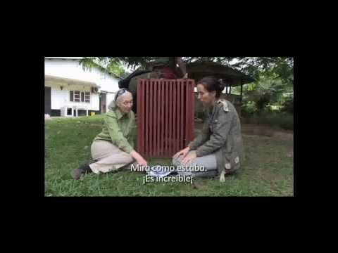 Liberación de Wounda en Congo - Y Un Tierno Abrazo A Quien Le Salvó La Vida.