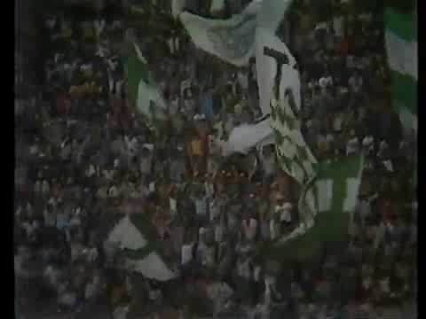 Palmeiras 3x0 Portuguesa (15/07/1984) - Paulistão 1984
