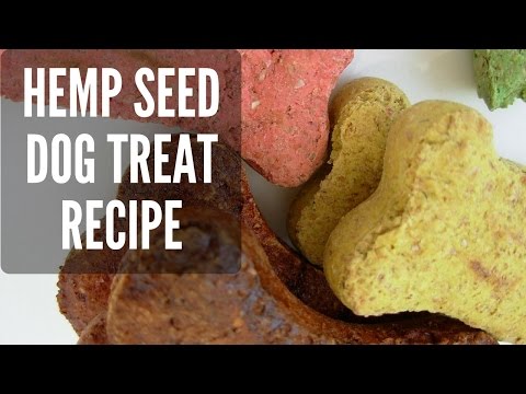 download lagu mp3 mp4 What Flour Is Best For Dogs, download lagu What Flour Is Best For Dogs gratis, unduh video klip What Flour Is Best For Dogs