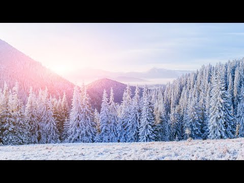 Silver White - Slowfly feat. Revel Day I Christmas Song