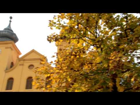 Dobro jutro grade - Blanka Došen & STD Paje Kolarića