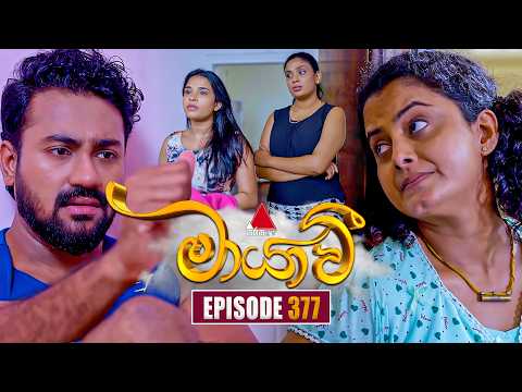 Maayavi (මායාවී) | Episode 377 | 20th February 2026 | Sirasa TV