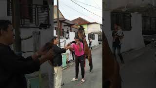 Download lagu Atraksi kuda 😱 mp3