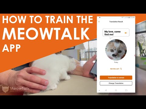 How to train the MeowTalk app for your cat - YouTube