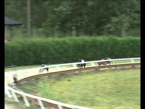 Czech Derby Final - 2011