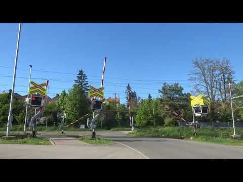 Železniční přejezd Střelice 26.4.2025 [P3944] / Czech railroad crossing