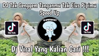 Download lagu DJ TAK GENGGEM TANGANMU TAK ELUS PIPIMU SPEED UP | DJ TULUS AGIL FVNKY VIRAL TIK TOK 2024 ! mp3