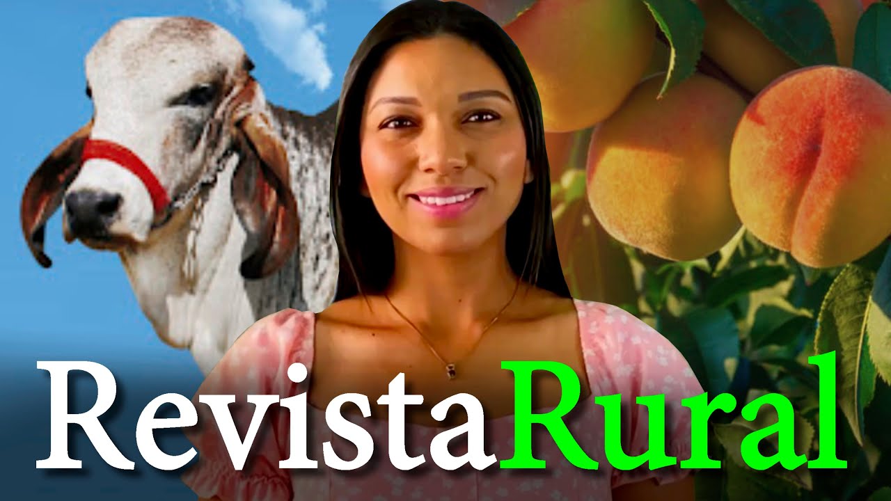 PROGRAMA REVISTA RURAL -03/11/2024