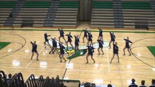 preview picture of video 'Rogers Varsity Jazz Dance Team, Edina Invitational 12-14-2013'