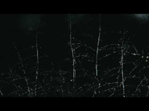 Video thumbnail for Lemniscate (The Place Between Sleeping and Awake)