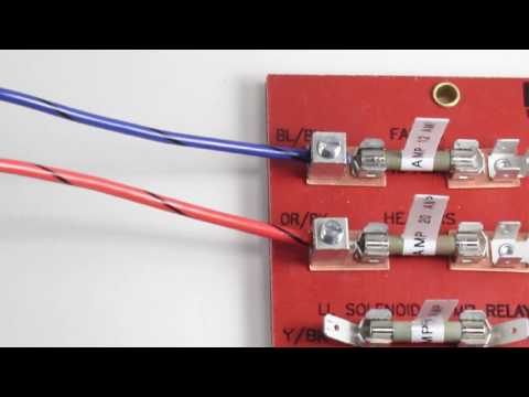How to Wire the KE2 Evap Controller - Video 046 (FAQ: Walkin freezers, walk in coolers)