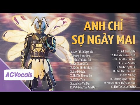 Anh Chỉ Sợ Ngày Mai Em Đi Rồi... Mảnh Tình Sai Đôi | Tuyển Tập Playlist Ca Sĩ Giấu Mặt