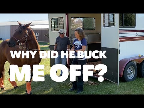 Problem Horse: Bucking                  Part 1 of 3