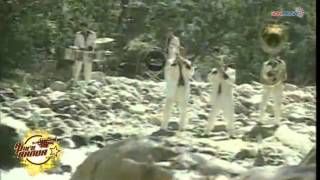 Te vas Amor - El Coyote y su Banda Tierra Santa