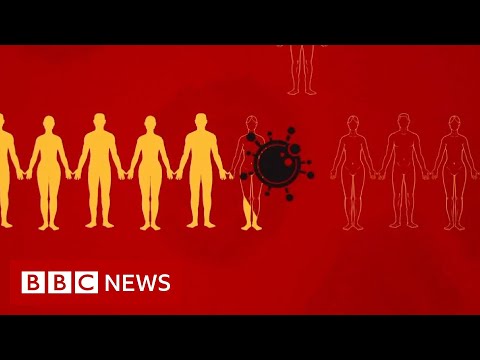 Coronavirus: What is social distancing? - BBC News