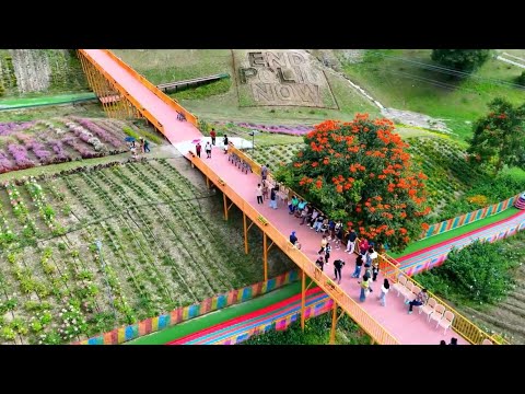 Euphoria Flower Farm and Adventure Park | Tupi South Cotabato