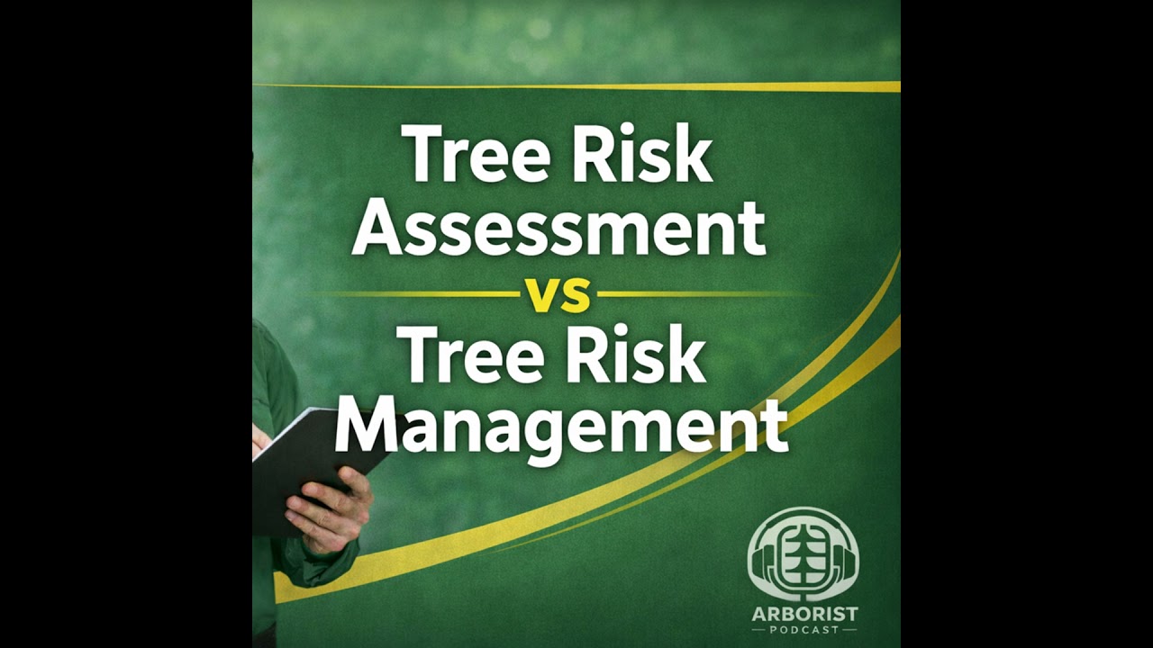 Tree Risk Management vs Assessment Defined