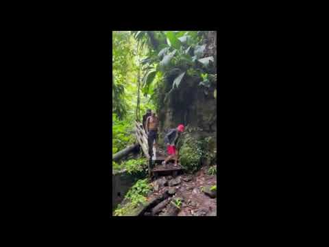 Djungelvandring på Martinique