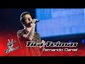 Fernando Daniel Dancing On My Own Tira Teimas The Voice Portugal