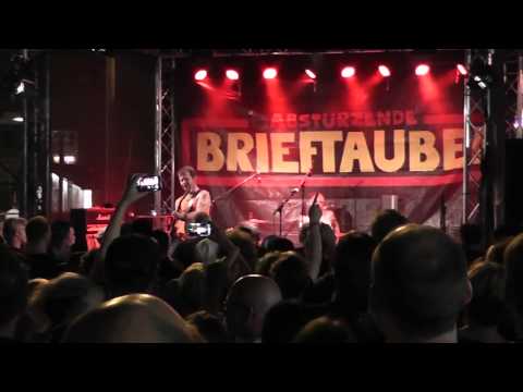 STRANGRIEDEFEST 2015 - ABSTÜRZENDE BRIEFTAUBEN