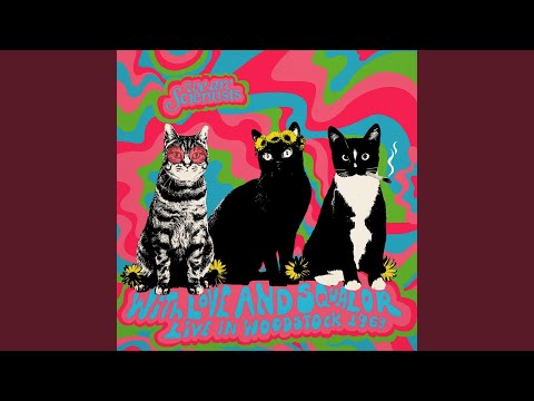 Videoclip de Can't Lose (Acoustic) — We Are Scientists