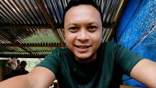 Download lagu Melawat Reban Ayam Kampung IM di Dungun, Terengganu mp3