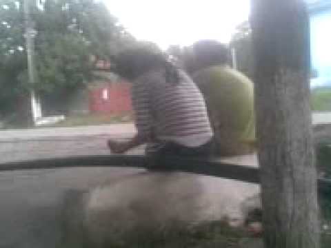 indragostitii viisoara.3gp