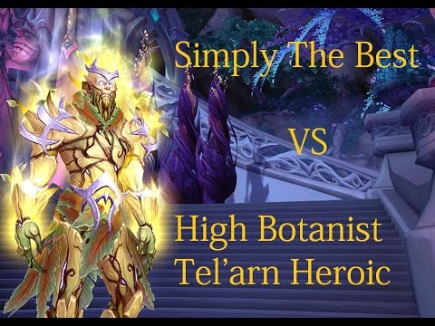 Simply The Best Vs High Botanist Tel'arn Heroic - Retribution Paladin PoV