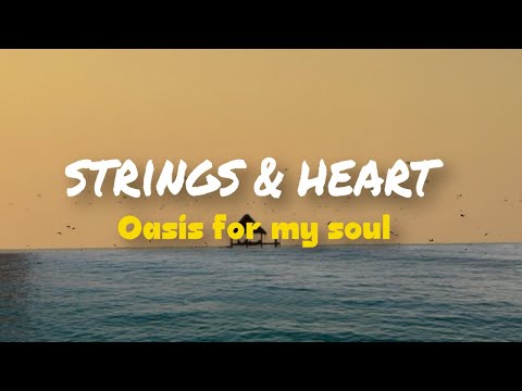 Strings And Heart -  oasis for my soul [Visualizer]