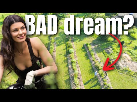 Stefan Sobkowiak - The Permaculture Orchard and 2 more