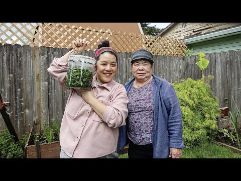 GRANDMA'S PICKLED MUSTARD GREENS: Puj's Zaub Qaub 🥬 Preserving Grandma's Hmong Recipes