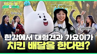 대형견 X 가요이, 🍗치킨 먹고 싶으세요? 근데 그냥은 못 드려요ㅋㅋ | 까부는게 제일 좋아 EP.09