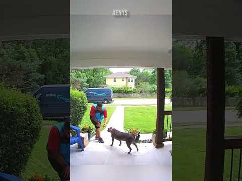 La maniere dont il s’est présenté ptdddr